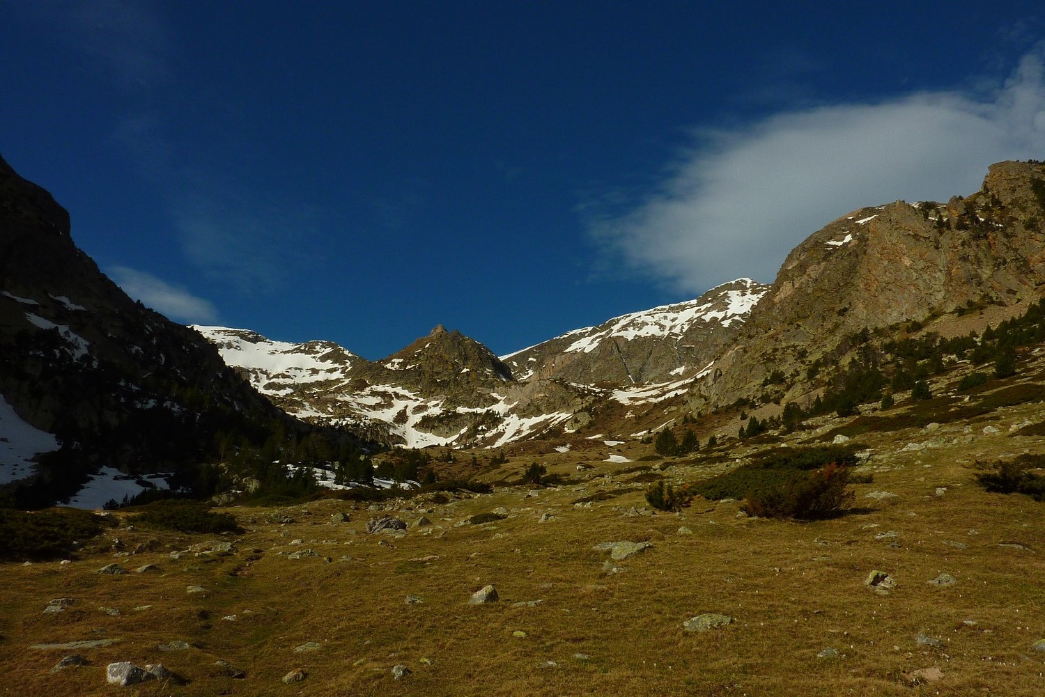 Pla dels Bocs