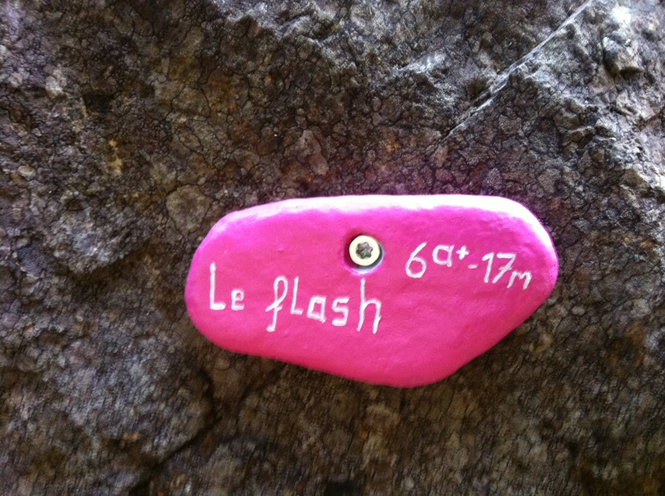 le flash