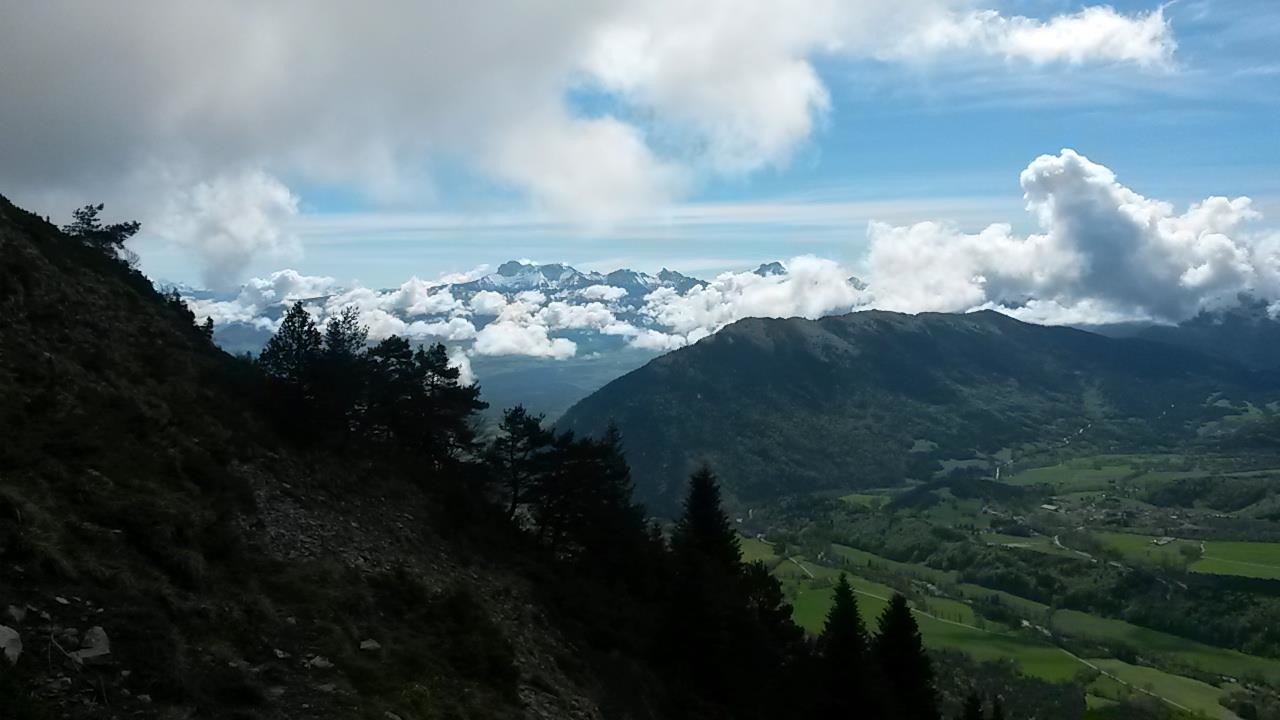 Panorama