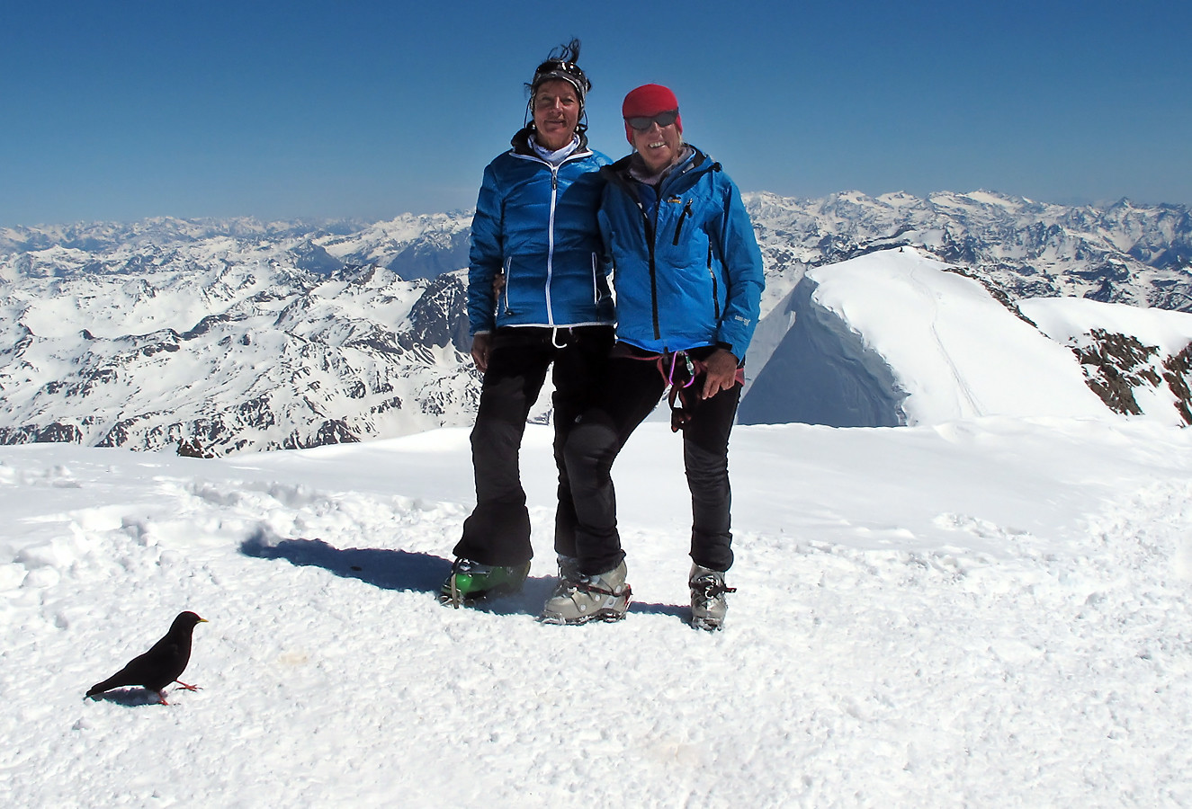 Piz Palü; terzetto in vetta...