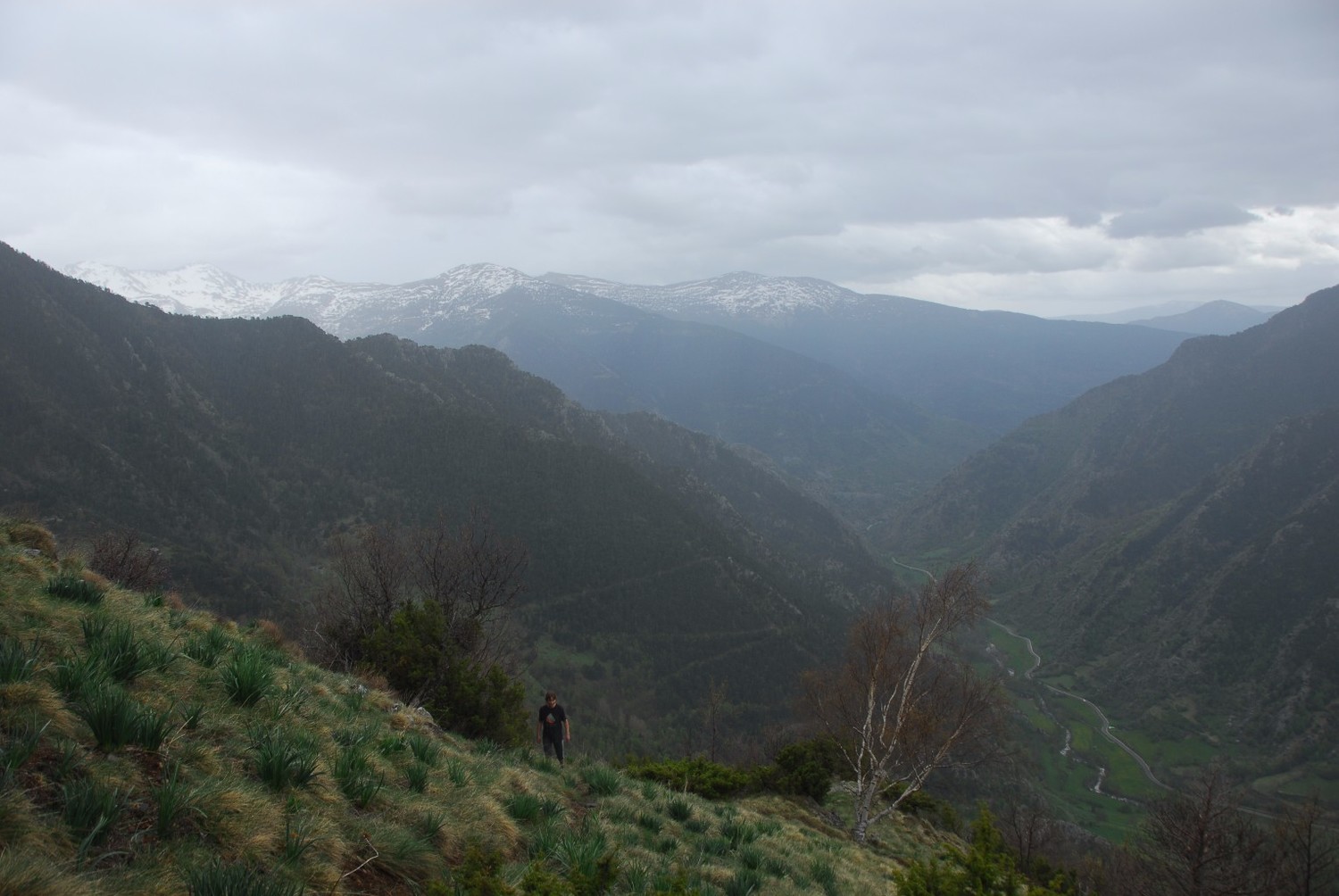 El temps no promet gaire..