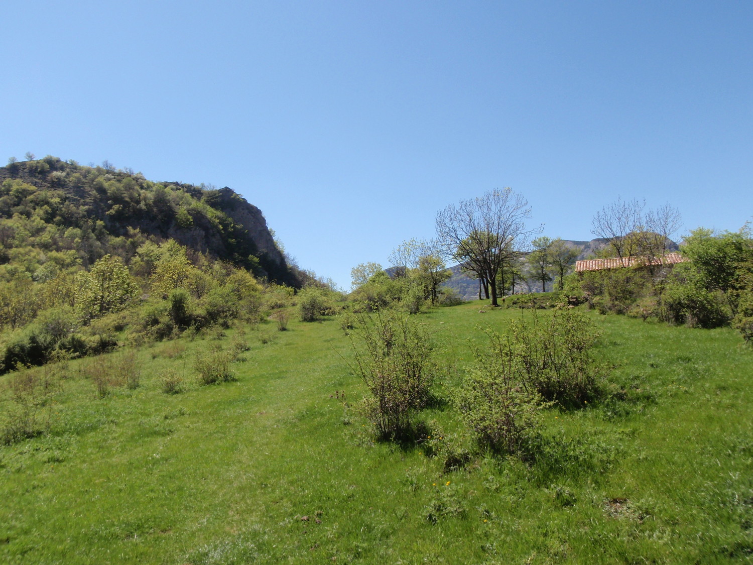 Viel Esclangon