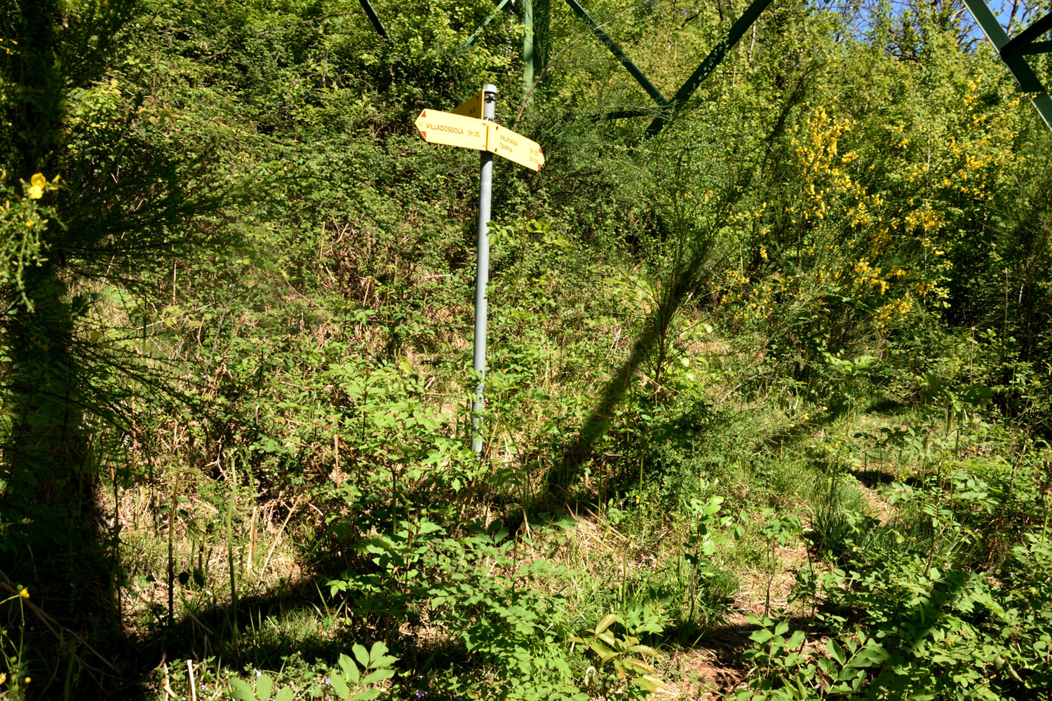 Des panneaux, certes, mais pas de chemins !