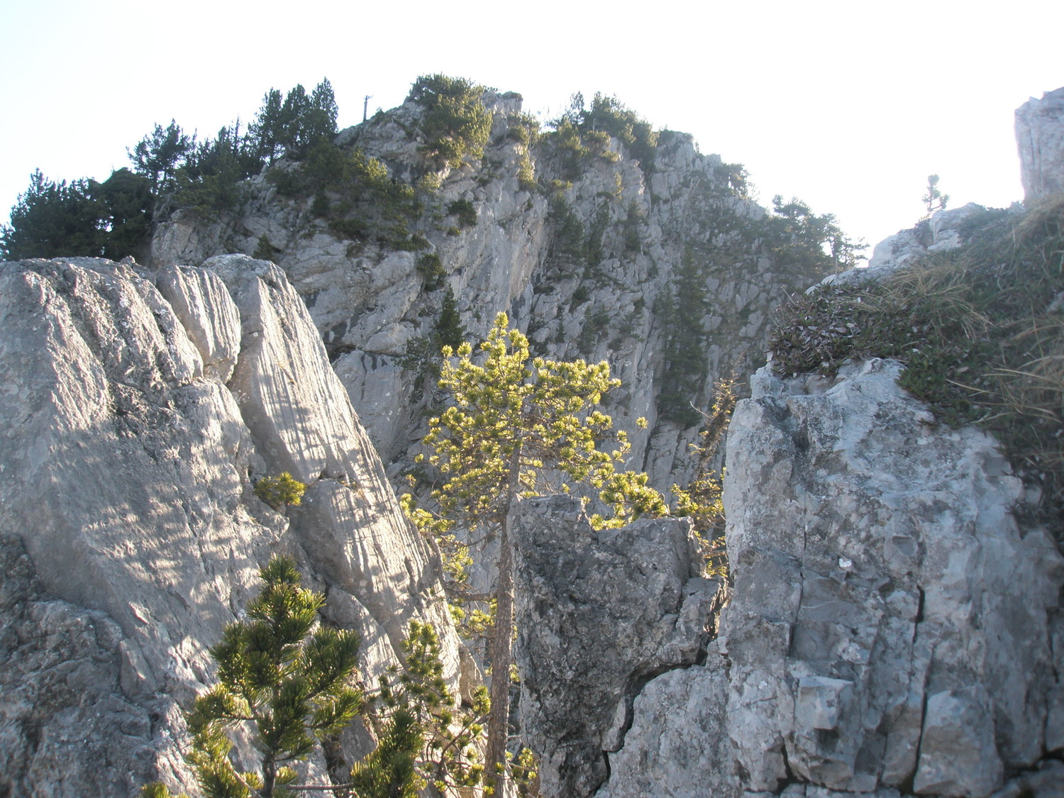 parcours