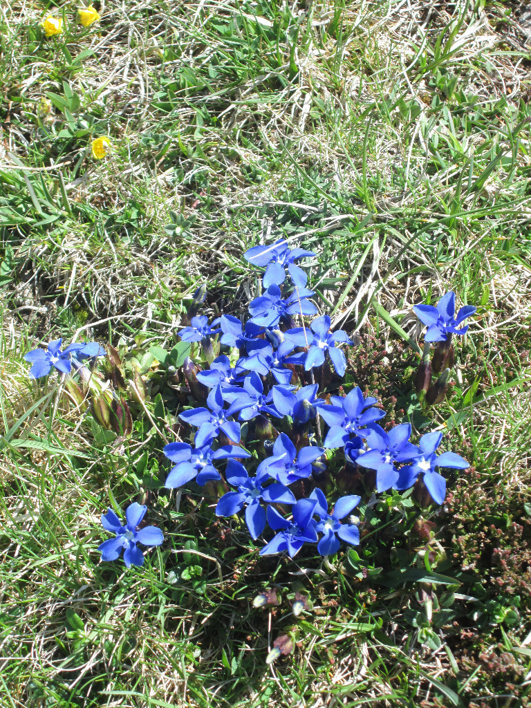 c'est le printemps...