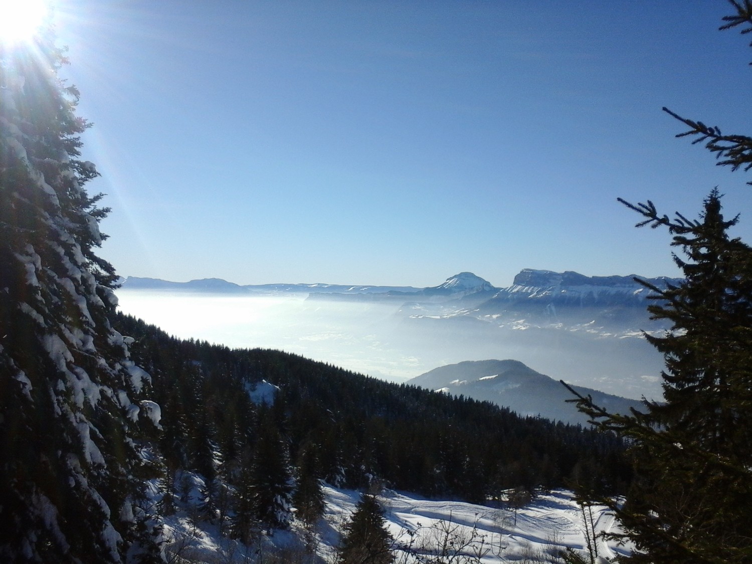belledonne