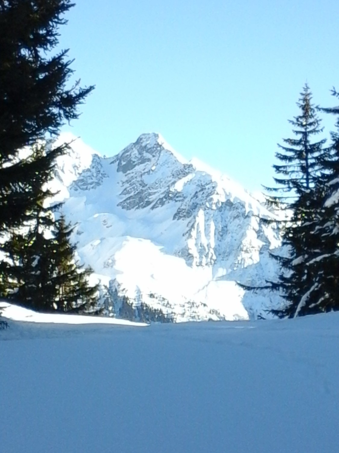 belledonne