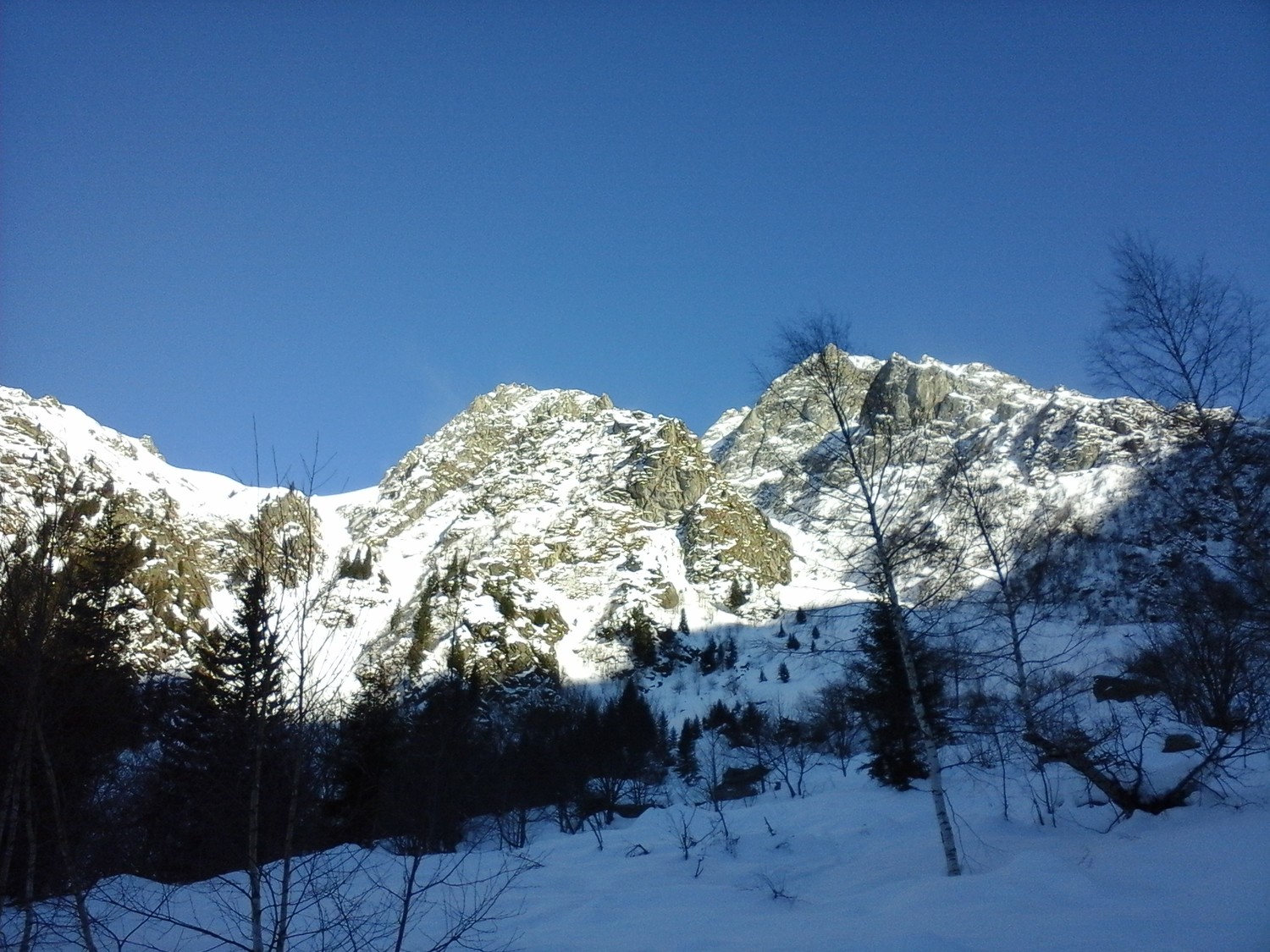belledonne