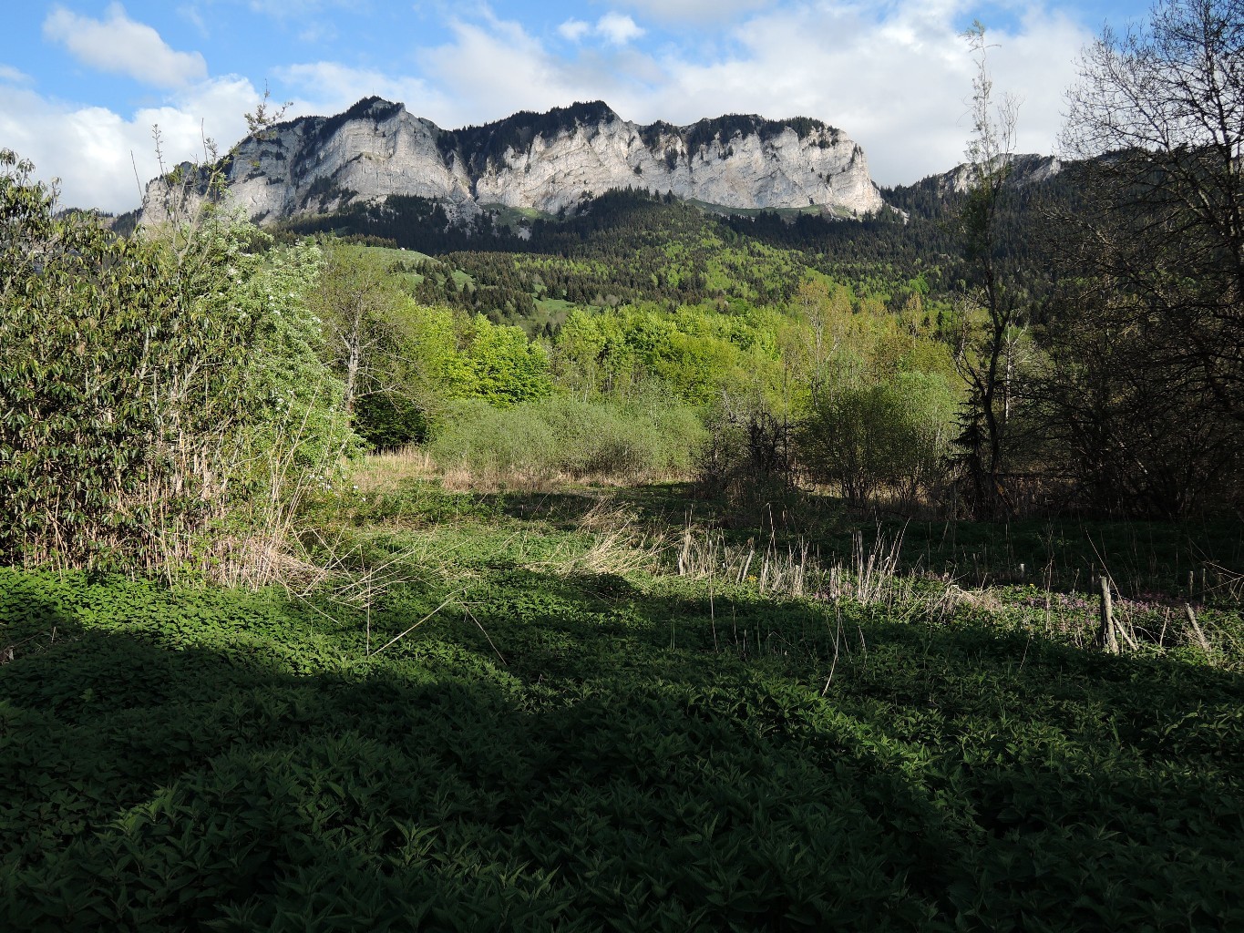 Montagne de Memises