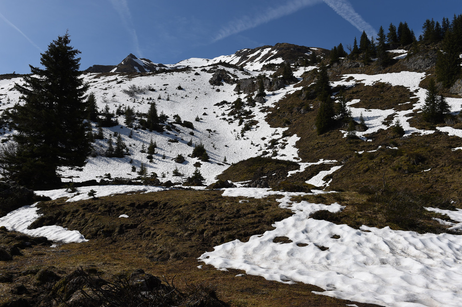 vu d'en bas, Pointe de Vorlaz, 10 mai 2015