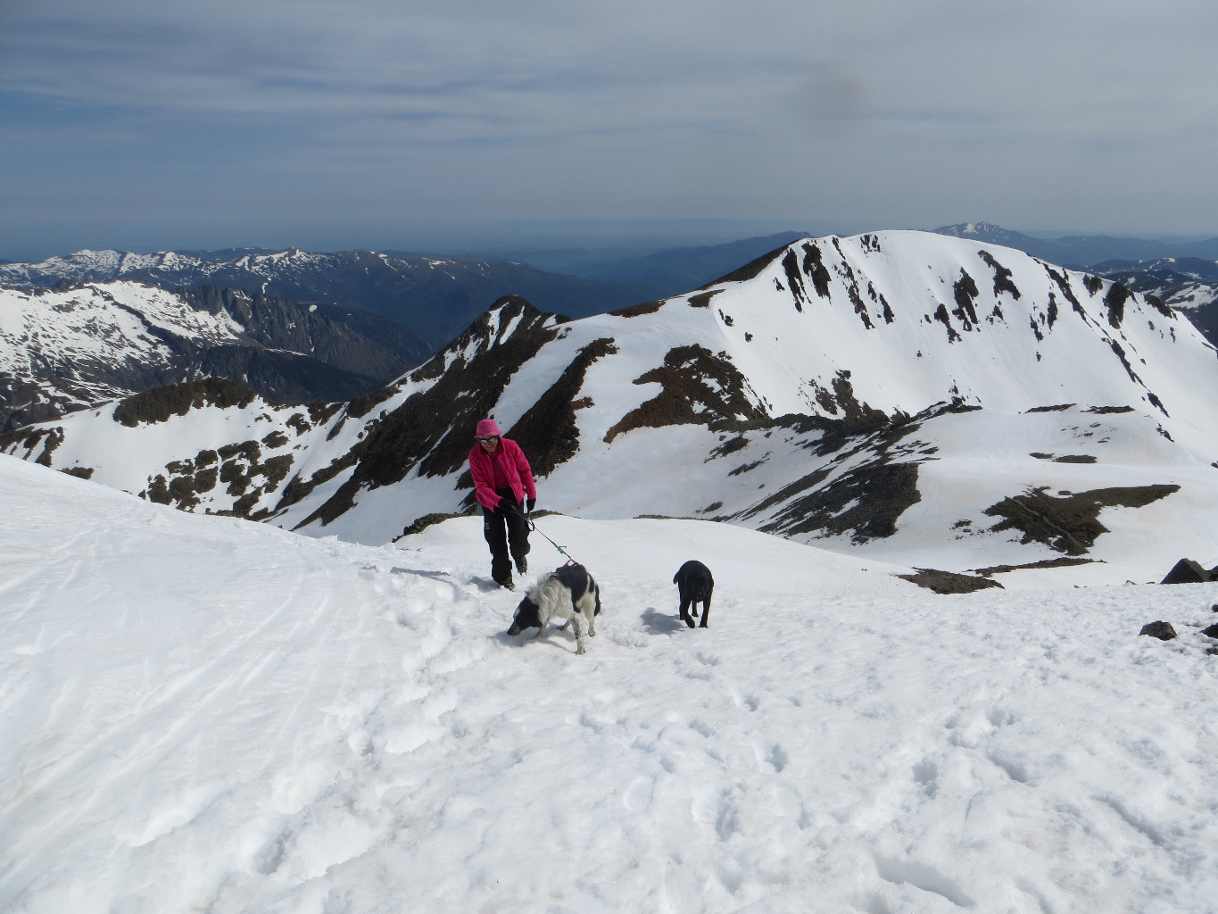 Les deux toutous arrivant du sommet du Montcalm avec leur maitresse, avant d'attaquer la Pique