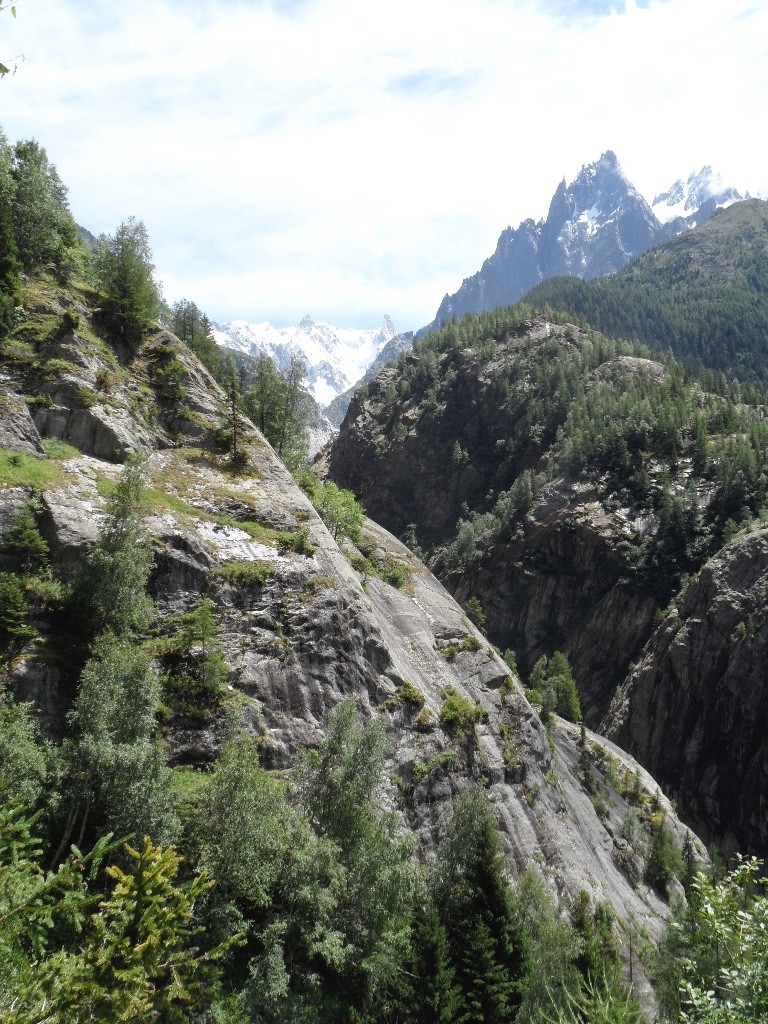 les grandes Jorasses et les aiguilles vers le glacier blanc