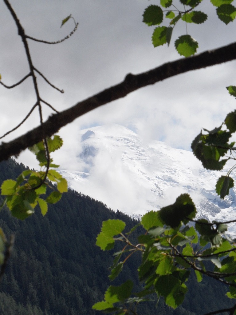 Mont blanc