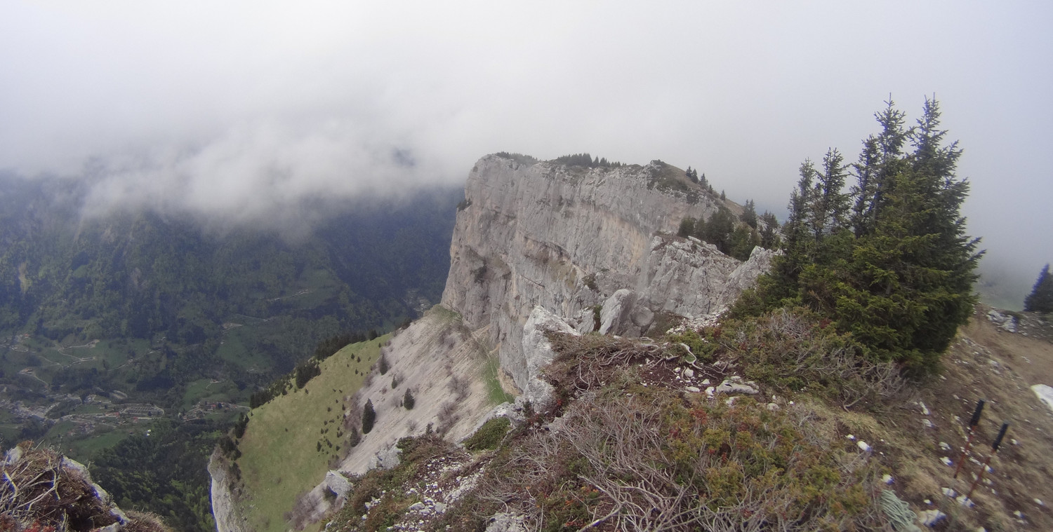 Vue du rocher de Leschaux