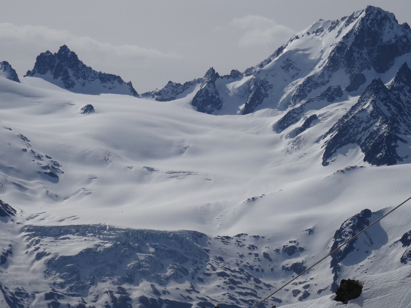Zoom sur le Chardonnet