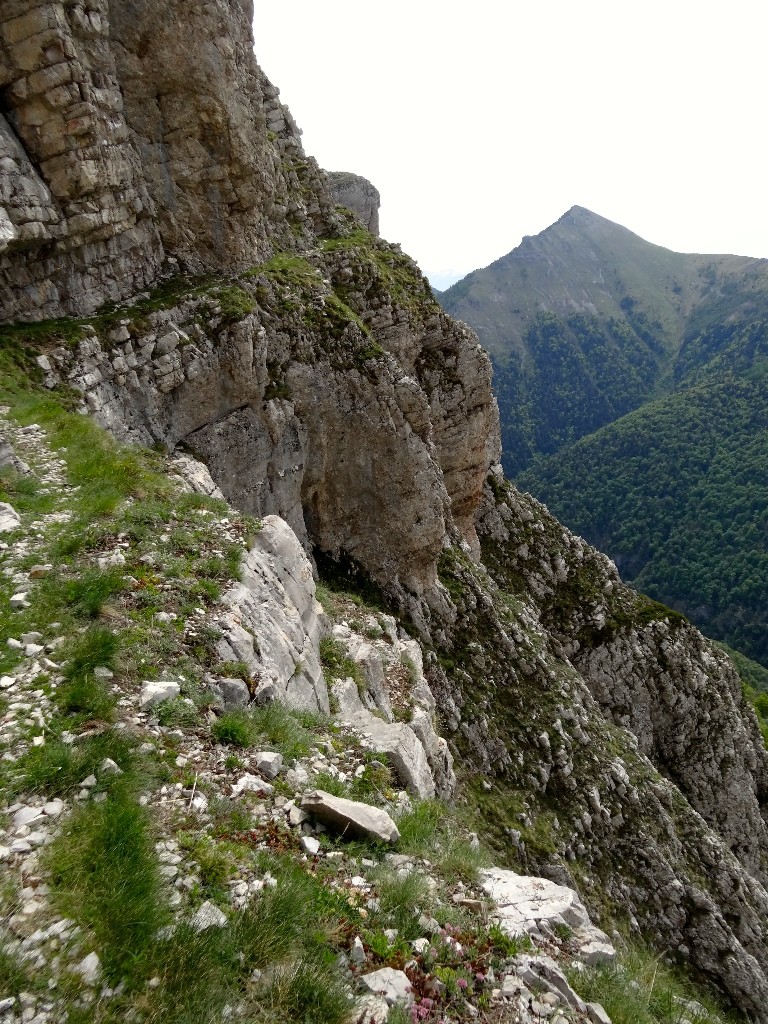 Sous le col de Rabou (versant S)