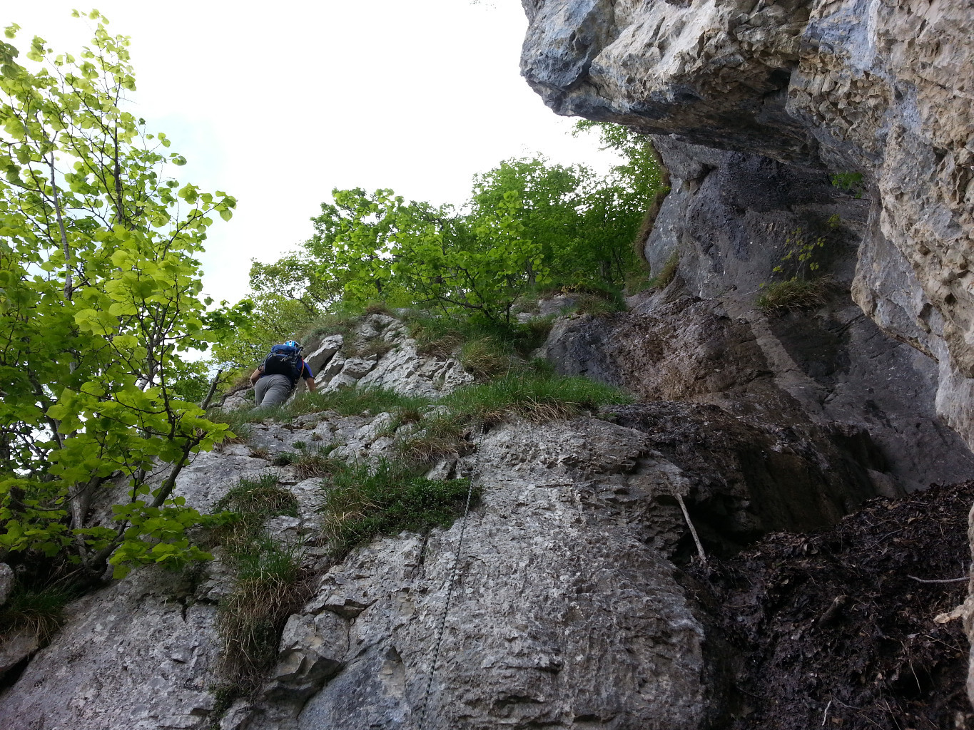 Treize Arbres: la suite