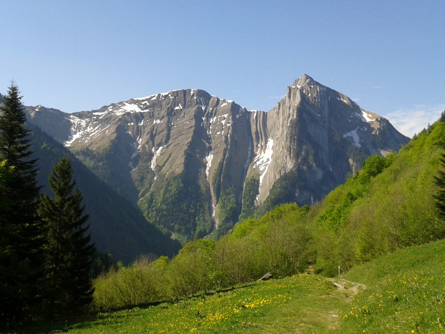 A la sortie de la forêt, vue sur les cheminées de Combafort