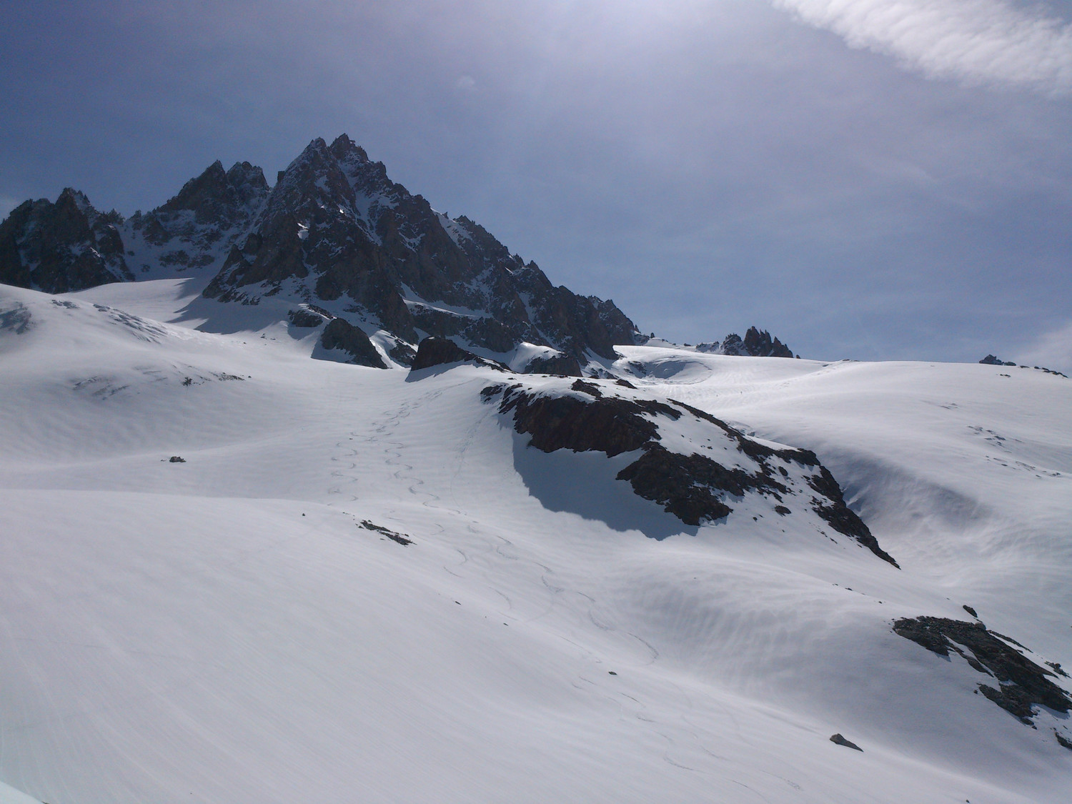 on part pour tête blanche