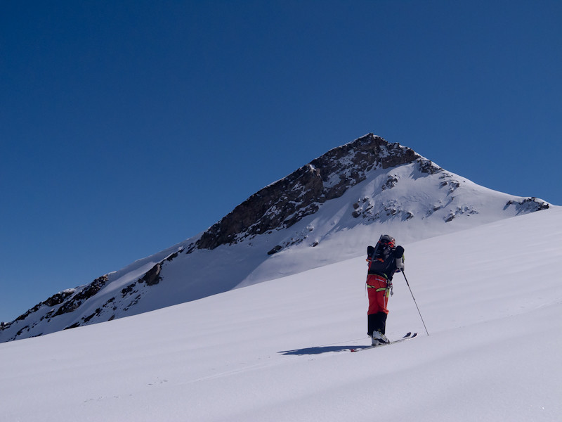 Chéri-chéri s'incline devant les Vedettes