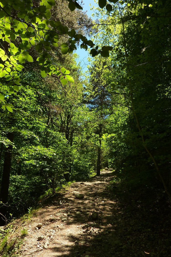 Sur le GR10