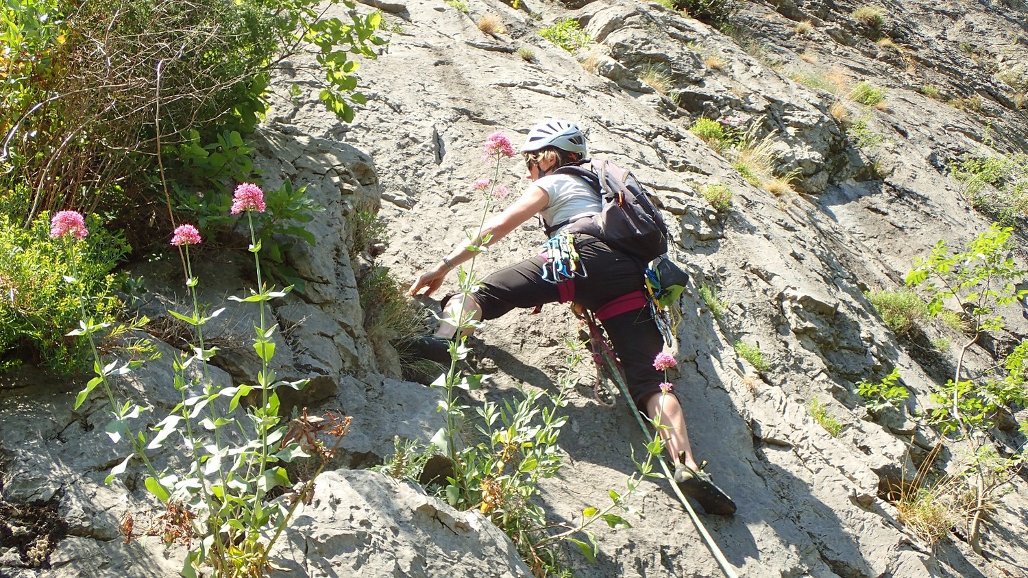Départ dans L1