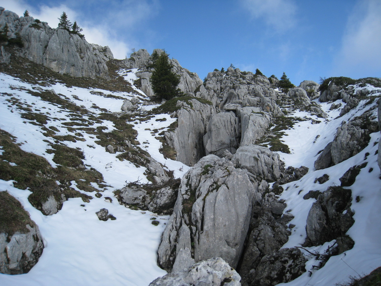 vers les crêtes - Roc des Tours