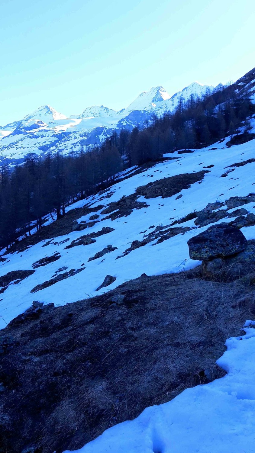 Dent d'Hérens au petit matin.