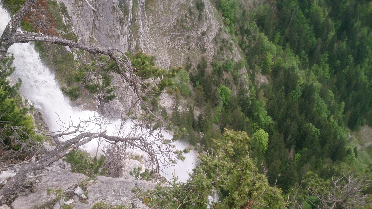 Cascade