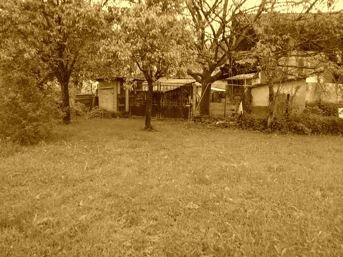 Le jardin