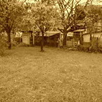 Le jardin
