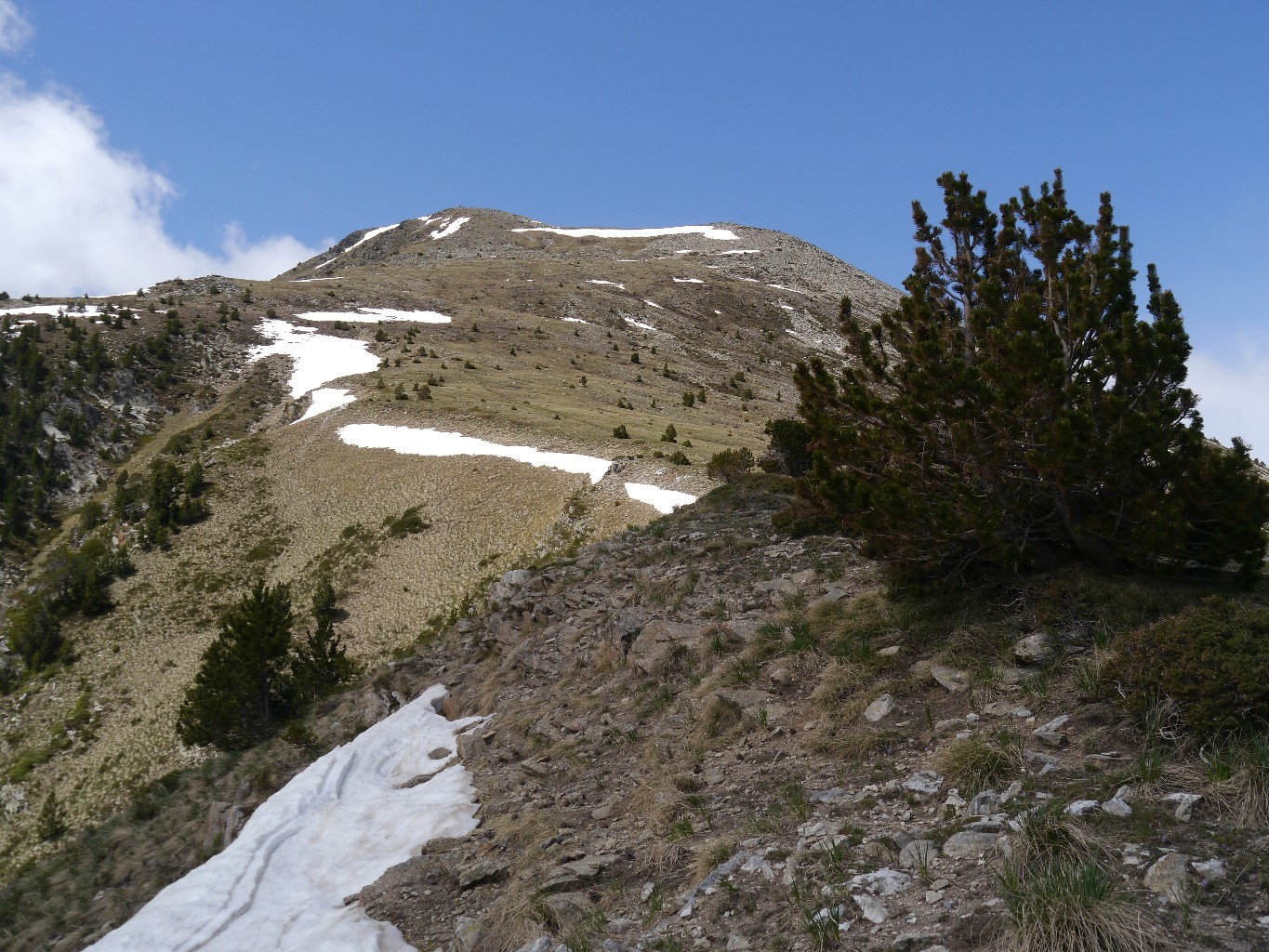 Le redoun depuis les abords du Col Mitja