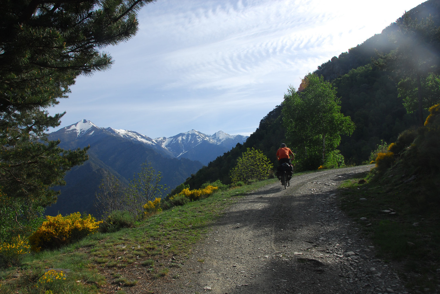 Pista del bosc de Sastres