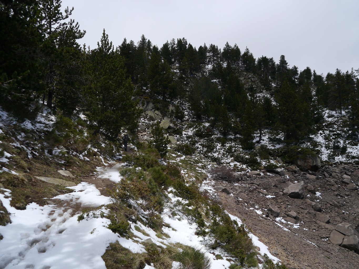 La fraiche de la veille