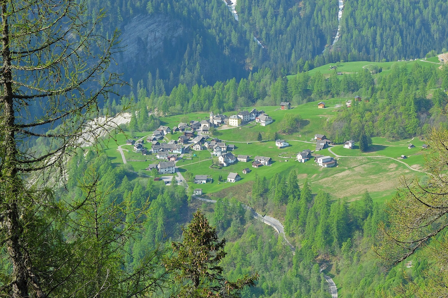 Cimalmotto