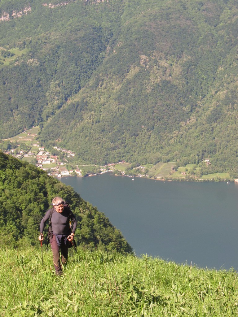 i prati sopra l'Alpe