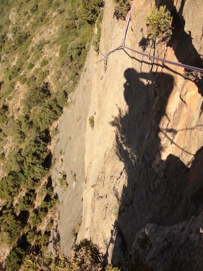 l1 du haut