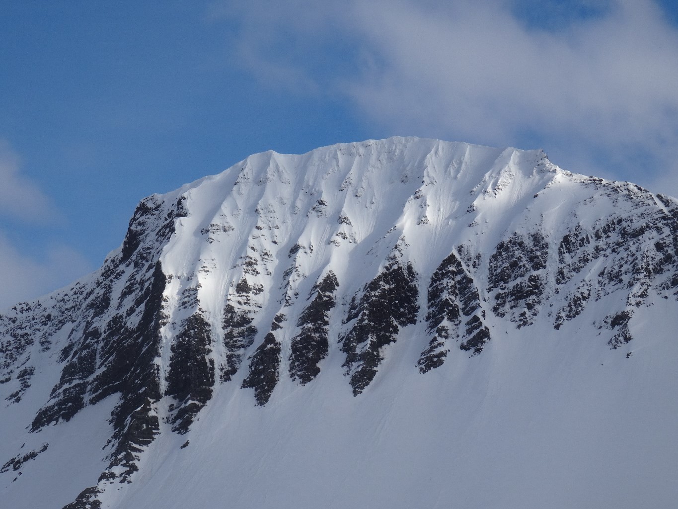 gongudafshorn