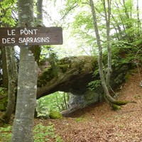 Pont des sarrazins