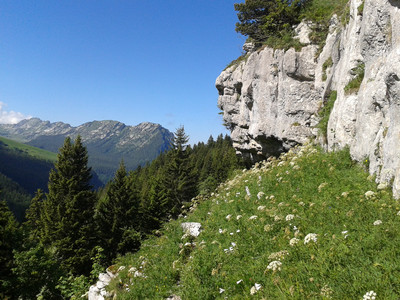 début du sangle du fouda blanc