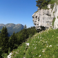 début du sangle du fouda blanc