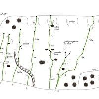 topo dalle du planay