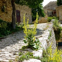 Arrivée à Sivergues