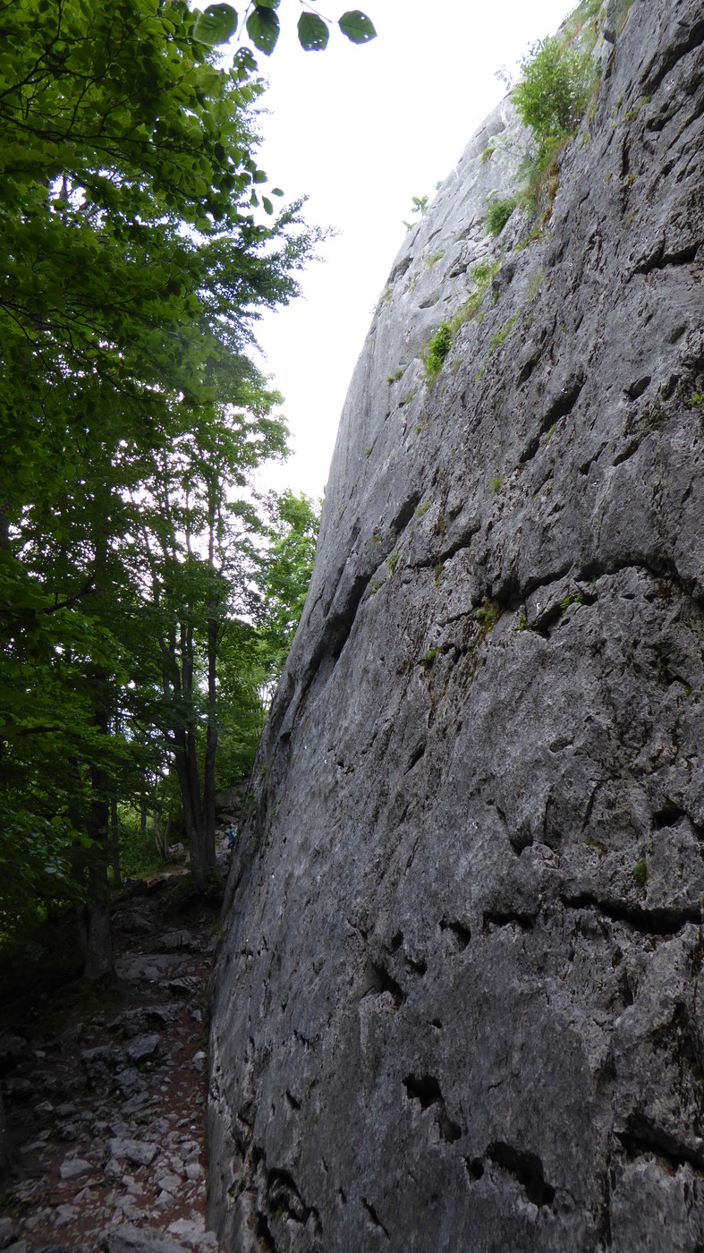 Pente de la dalle sur le grand secteur
