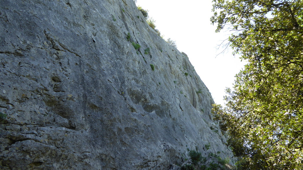 Paroi