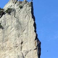 PP sort de la "Fuite enchantée (Grande arête)"