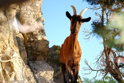Visite sur la vire de la Cerise