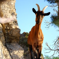 Visite sur la vire de la Cerise