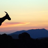 Fin de journée à Bellecombe