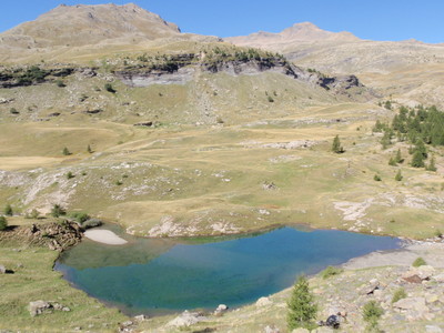lac du Fangeas,Grd Pinier lac du Fangeas,Grd Pinier